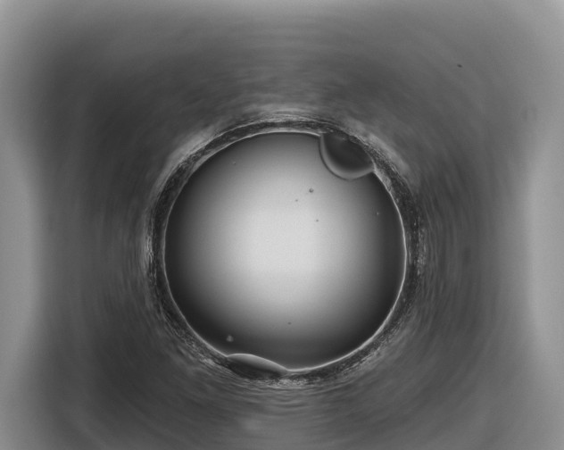 X0000116871261200912291312