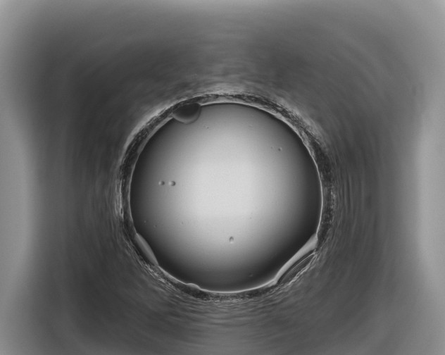 X0000116871262200912291312
