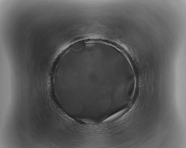 X0000116871263200912291312
