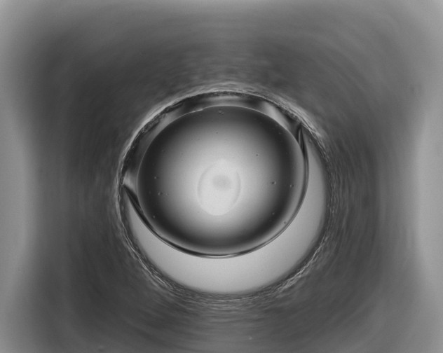 X0000116871264200912291312