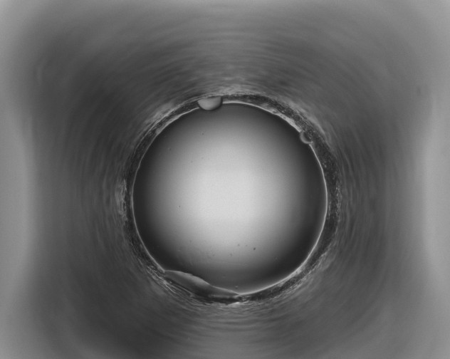 X0000116871265200912291312