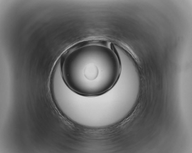 X0000116871268200912291312