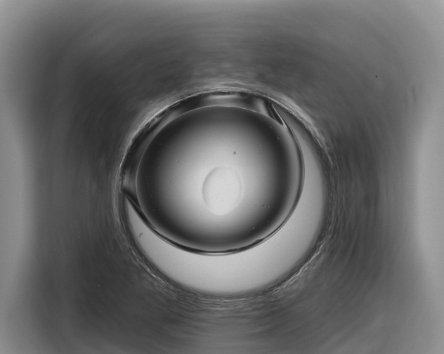 X0000116871269200912291312