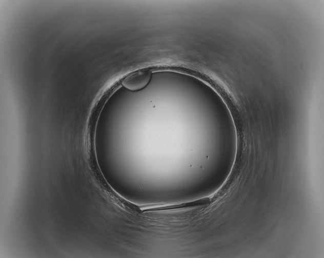 X0000116871270200912291312