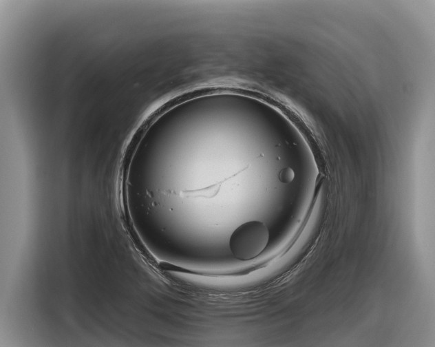 X0000116871272200912291312