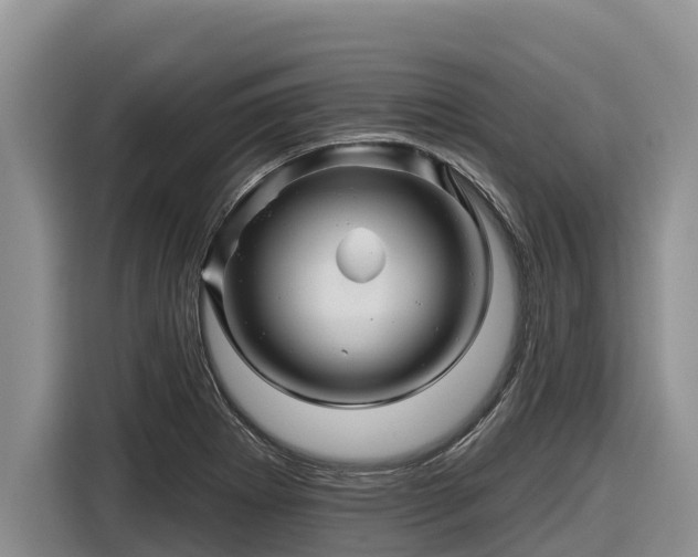 X0000116871273200912291312