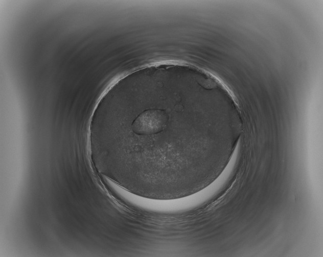 X0000116871274200912291312