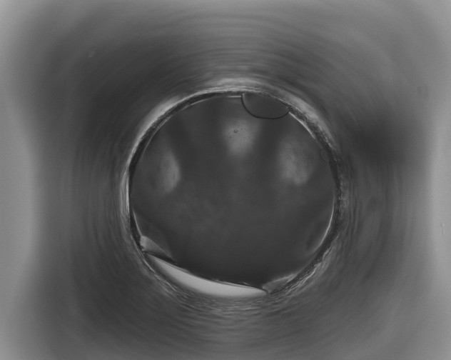 X0000116871275200912291312