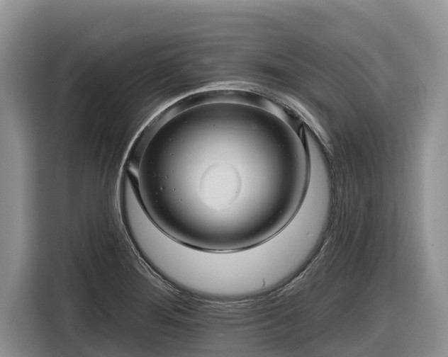 X0000116871276200912291312