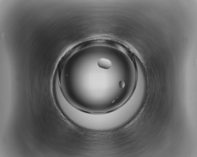 X0000116871277200912291312