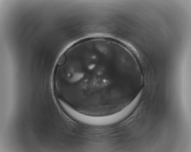 X0000116871279200912291312