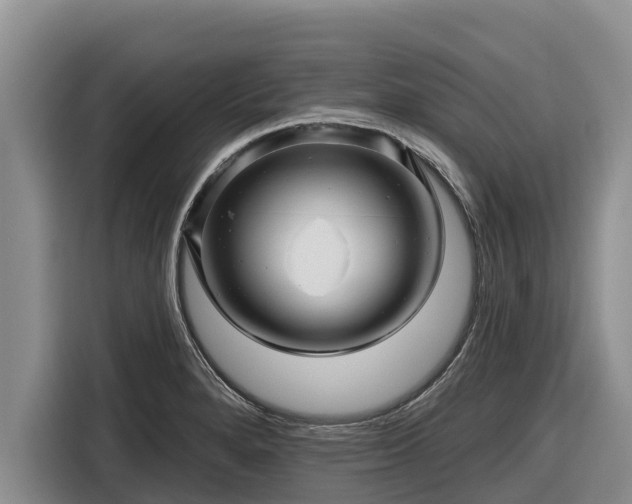 X0000116871280200912291312