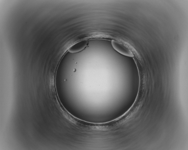 X0000116871281200912291312