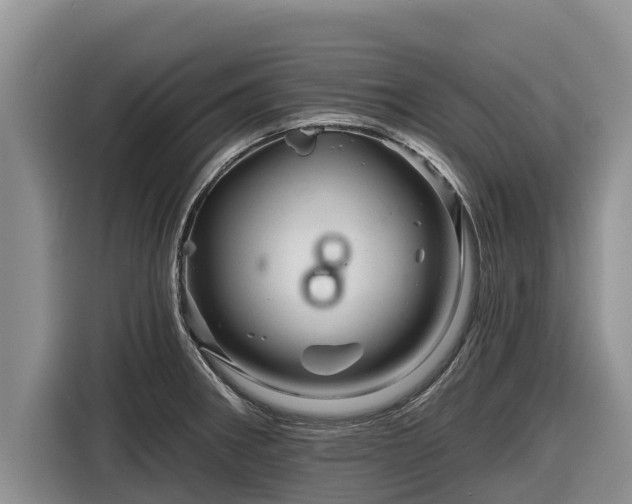 X0000116871282200912291312