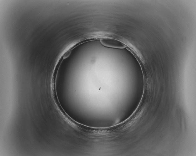 X0000116871285200912291312
