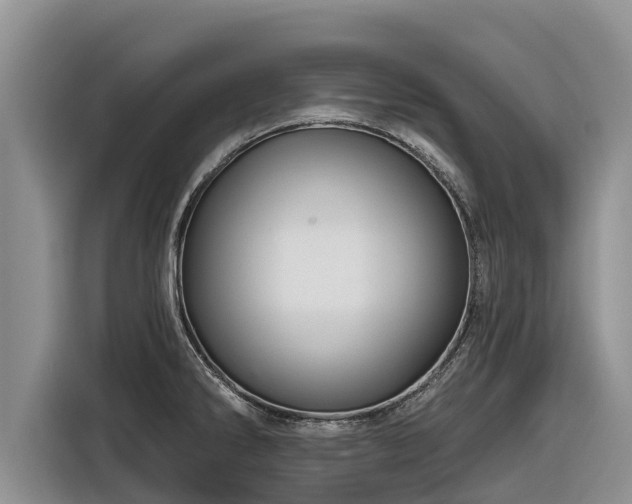X0000116871286200912291312