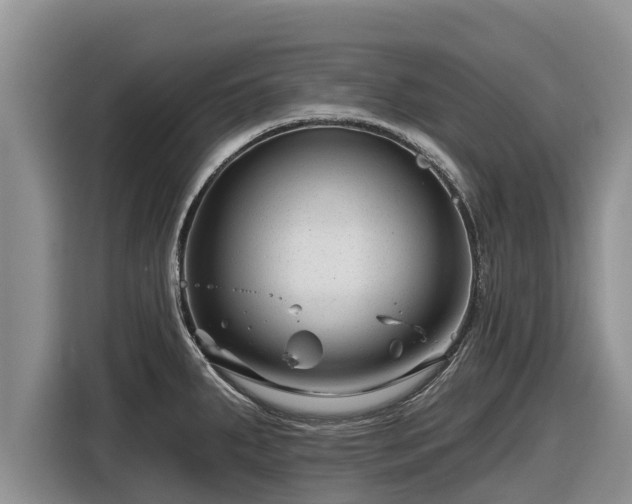X0000116871287200912291312