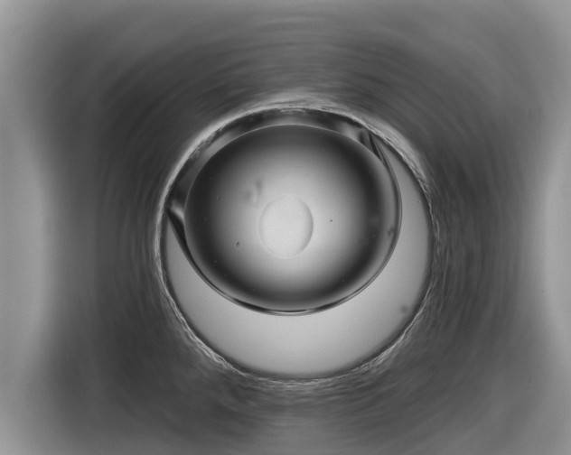 X0000116871288200912291312