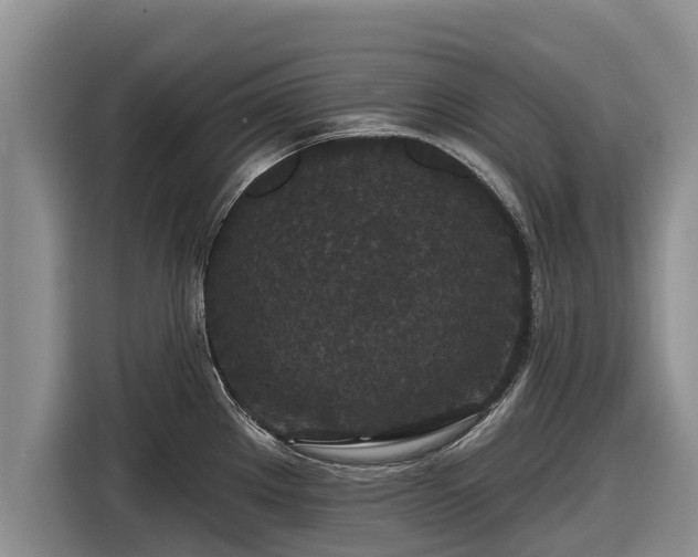X0000116871289200912291312