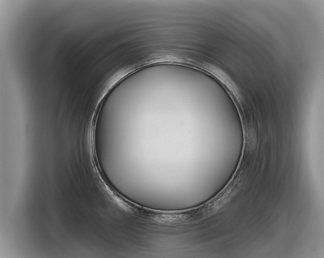 X0000116871290200912291312
