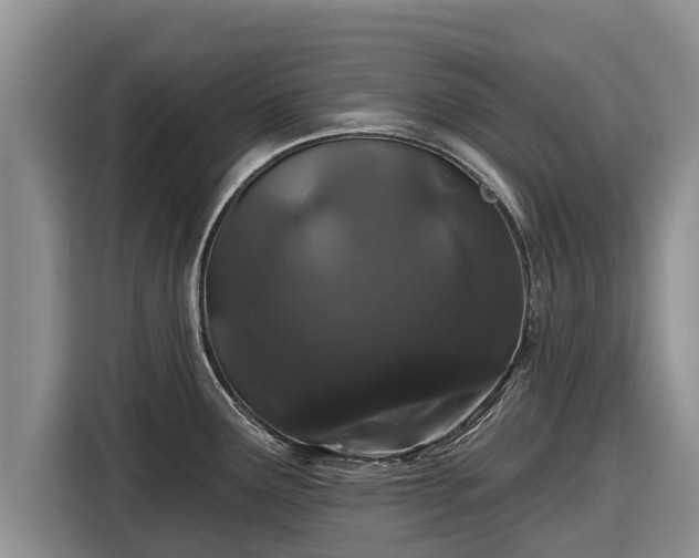 X0000116871291200912291312