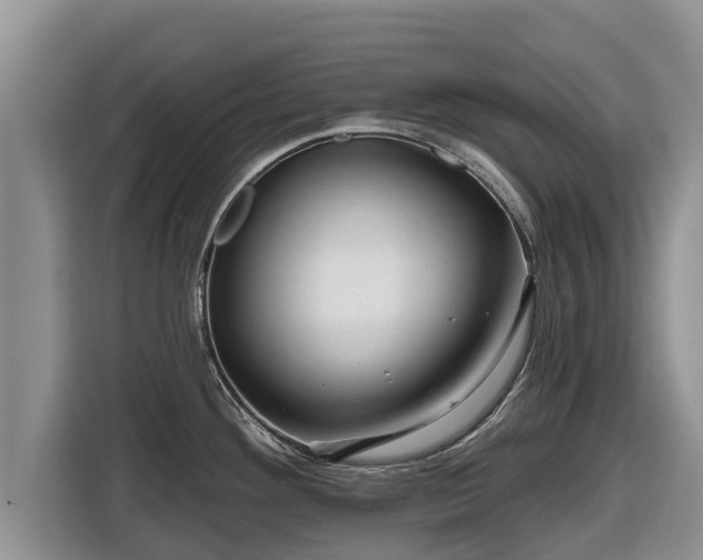 X0000116871292200912291312