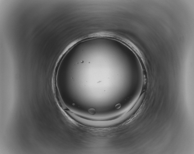 X0000116871293200912291312