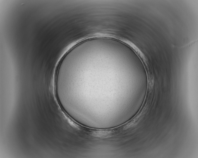 X0000116871294200912291312