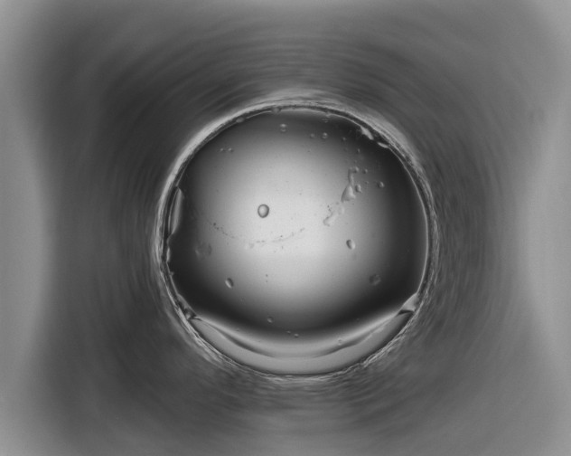 X0000116871296200912291312