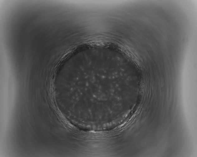 X0000116871297200912291311