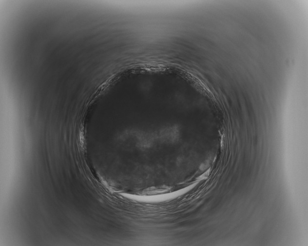 X0000116871298200912291311