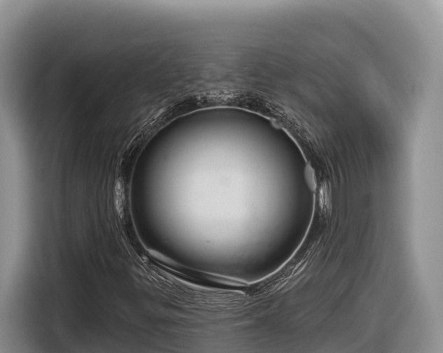 X0000116871299200912291311