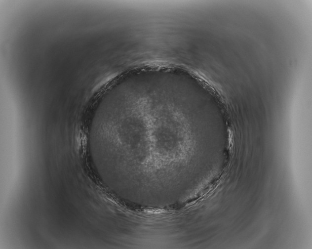 X0000116871302200912291311