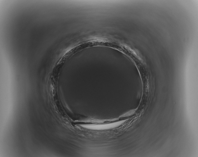 X0000116871303200912291311