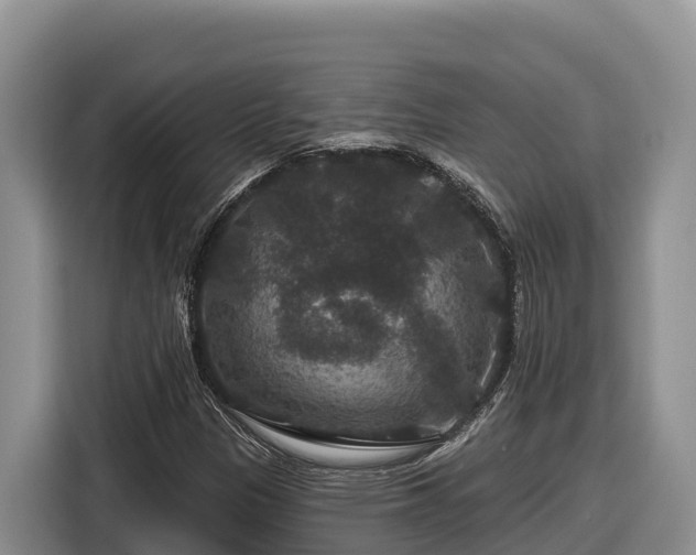 X0000116871305200912291311