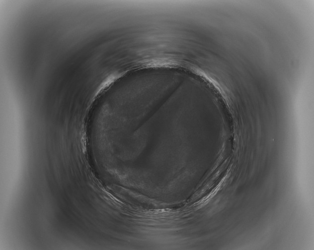 X0000116871306200912291311