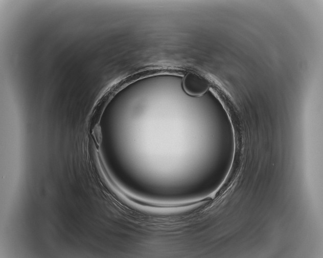 X0000116871307200912291311