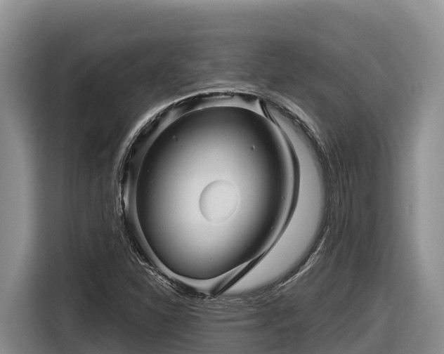 X0000116871310200912291312