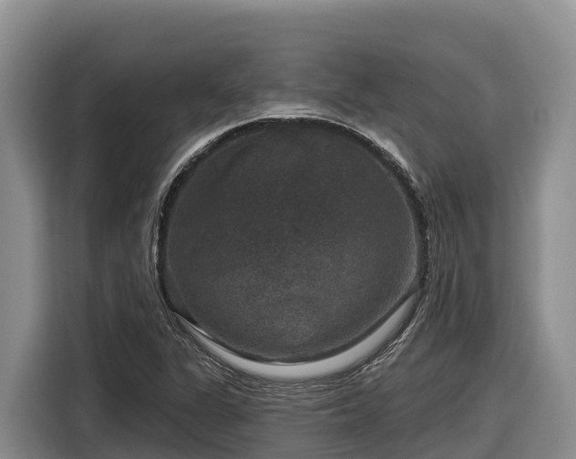 X0000116871311200912291312