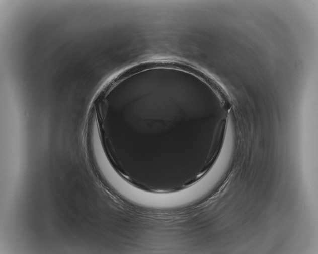 X0000116871319200912291312