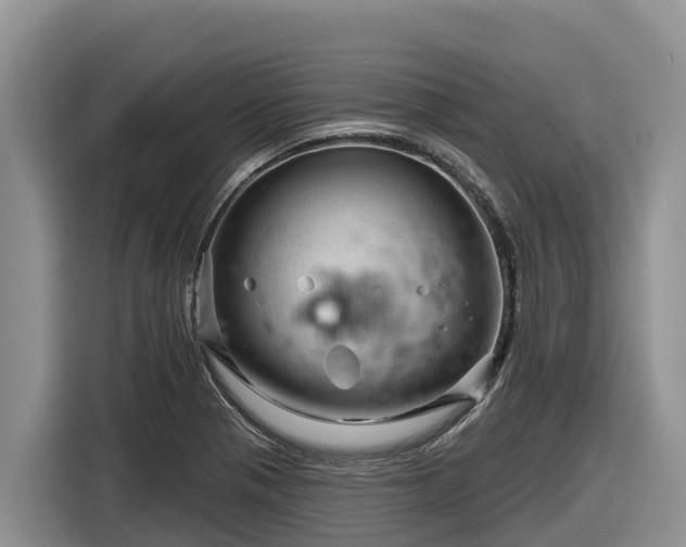 X0000116871321200912291312