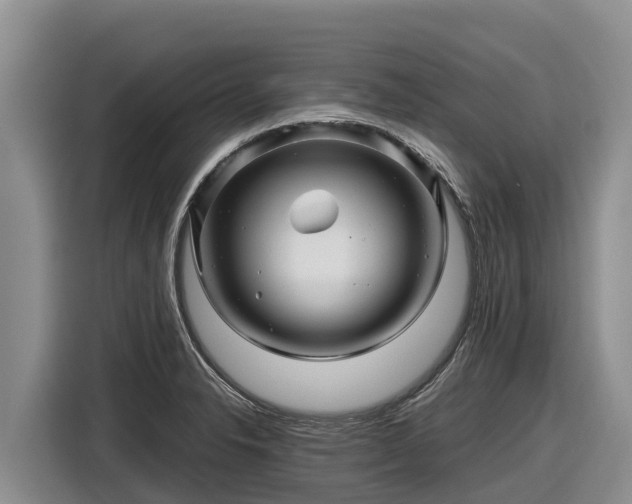 X0000116871326200912291312