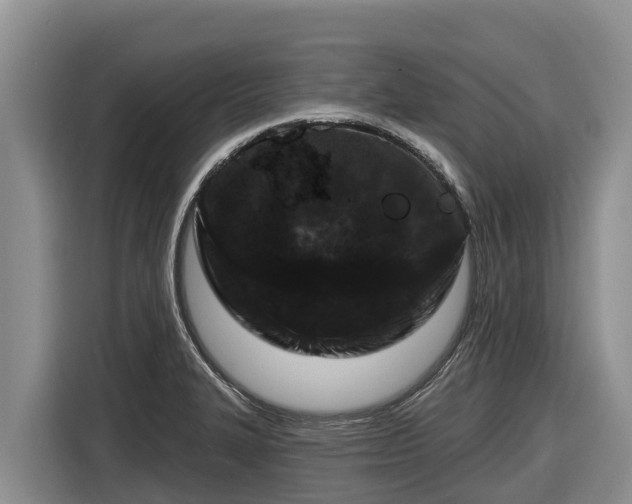 X0000116871327200912291312