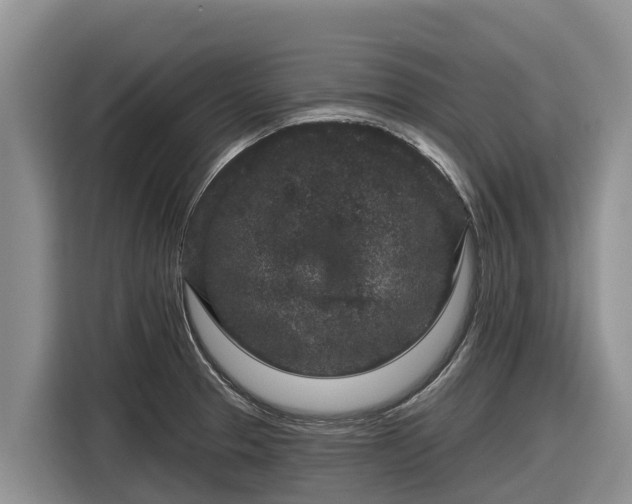 X0000116871329200912291312
