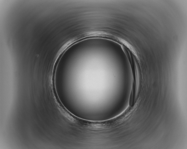 X0000116871330200912291312