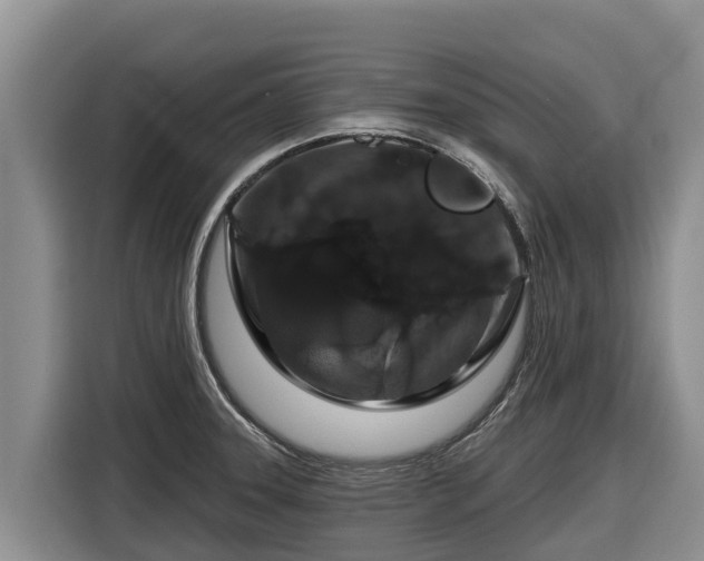 X0000116871331200912291312
