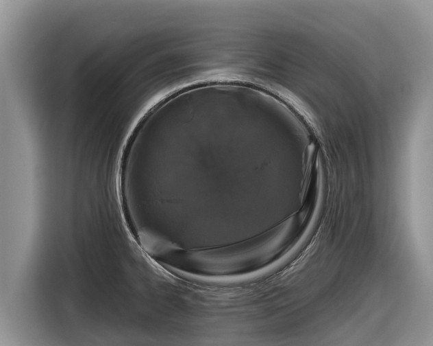 X0000116871334200912291312