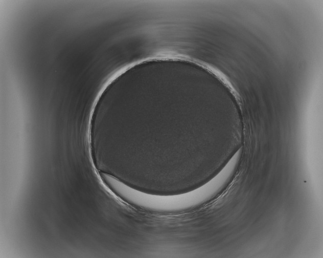 X0000116871335200912291312