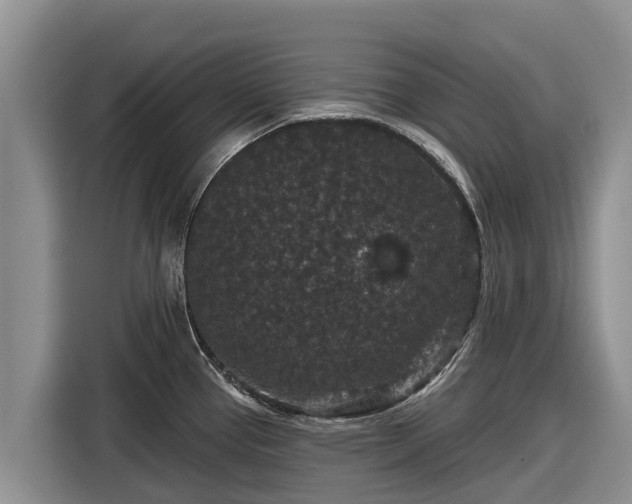 X0000116871337200912291312