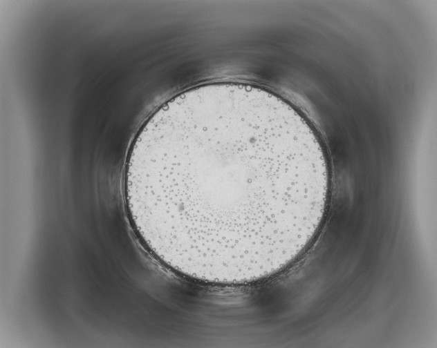 X0000116871338200912291312